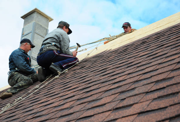 Best Local Roofing Companies  in Tyrone, PA